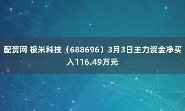 配资网 极米科技（688696）3月3日主力资金净买入116.49万元