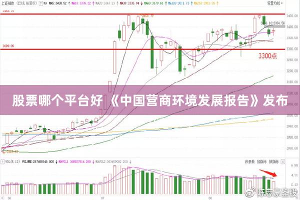 股票哪个平台好 《中国营商环境发展报告》发布