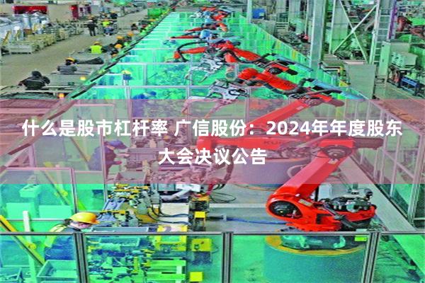 什么是股市杠杆率 广信股份：2024年年度股东大会决议公告