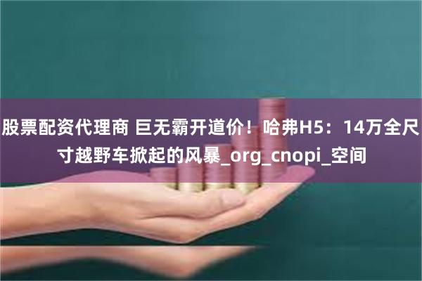 股票配资代理商 巨无霸开道价！哈弗H5：14万全尺寸越野车掀起的风暴_org_cnopi_空间